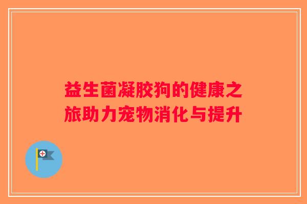 益生菌凝胶狗的健康之旅助力宠物消化与提升 益生菌凝胶狗的健康之旅助力宠物消化与提升