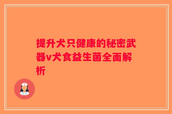提升犬只健康的秘密武器v犬食益生菌全面解析
