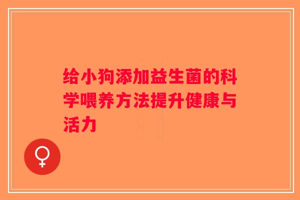 给小狗添加益生菌的科学喂养方法提升健康与活力