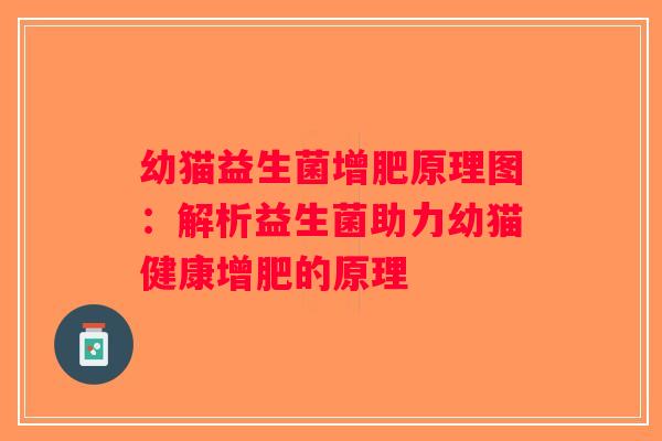 幼猫益生菌增肥原理图：解析益生菌助力幼猫健康增肥的原理