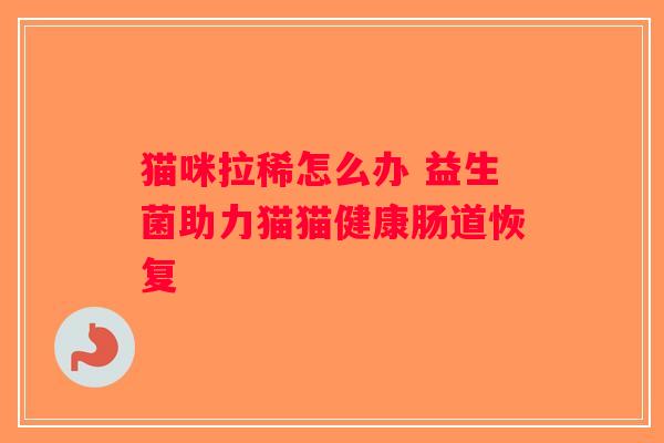 猫咪拉稀怎么办 益生菌助力猫猫健康肠道恢复