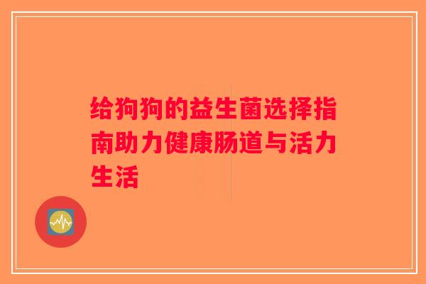 给狗狗的益生菌选择指南助力健康肠道与活力生活