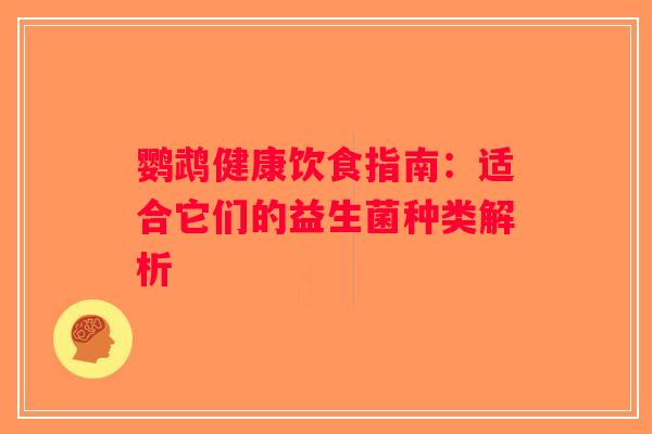 鹦鹉健康饮食指南：适合它们的益生菌种类解析