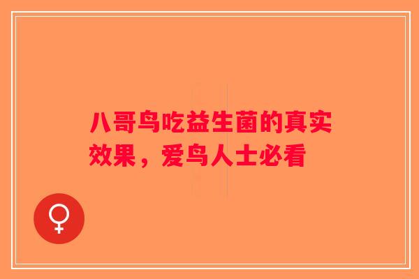 八哥鸟吃益生菌的真实效果，爱鸟人士必看