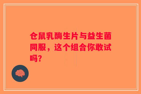 仓鼠乳酶生片与益生菌同服，这个组合你敢试吗？