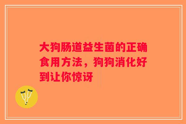 大狗肠道益生菌的正确食用方法,狗狗消化好到让你惊讶 大狗肠道益生菌的正确食用方法,狗狗消化好到让你惊讶