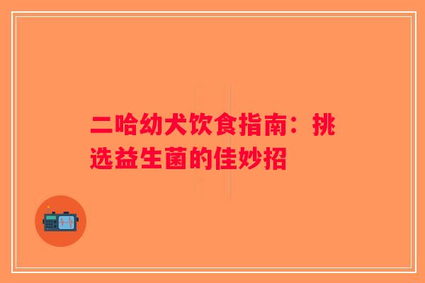 二哈幼犬饮食指南：挑选益生菌的佳妙招