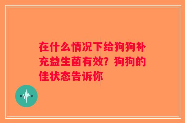 在什么情况下给狗狗补充益生菌有效？狗狗的佳状态告诉你