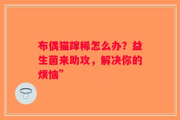 布偶猫蹿稀怎么办？益生菌来助攻，解决你的烦恼”