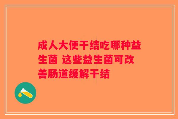 成人大便干结吃哪种益生菌 这些益生菌可改善肠道缓解干结