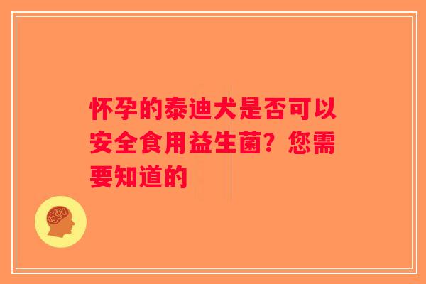 怀孕的泰迪犬是否可以安全食用益生菌？您需要知道的