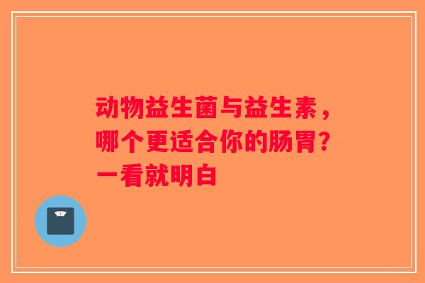 动物益生菌与益生素，哪个更适合你的肠胃？一看就明白