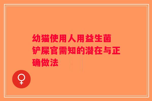 幼猫使用人用益生菌 铲屎官需知的潜在与正确做法