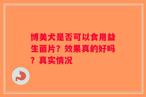 博美犬是否可以食用益生菌片？效果真的好吗？真实情况