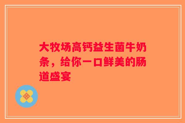 大牧场高钙益生菌牛奶条，给你一口鲜美的肠道盛宴