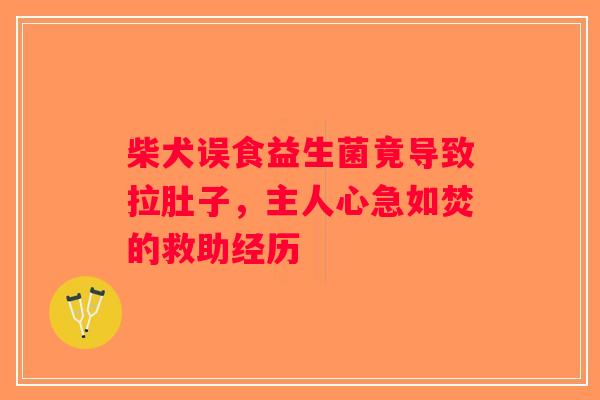 柴犬误食益生菌竟导致拉肚子,主人心急如焚的救助经历 柴犬误食益生菌竟导致拉肚子,主人心急如焚的救助经历