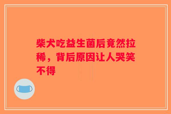 柴犬吃益生菌后竟然拉稀,背后原因让人哭笑不得 柴犬吃益生菌后竟然拉稀,背后原因让人哭笑不得
