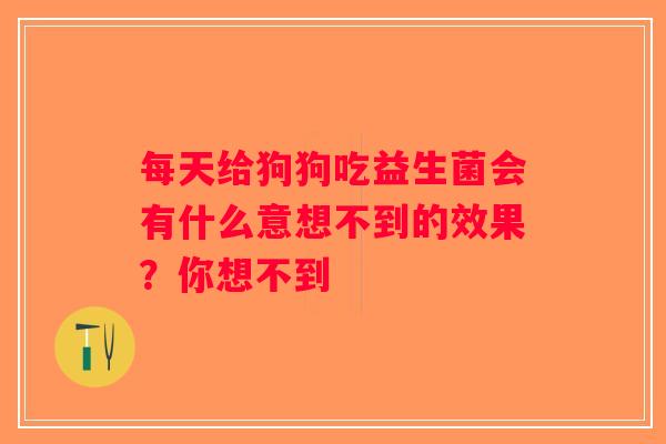 每天给狗狗吃益生菌会有什么意想不到的效果?你想不到 每天给狗狗吃益生菌会有什么意想不到的效果?你想不到