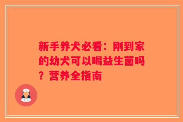 新手养犬必看:刚到家的幼犬可以喝益生菌吗?营养全指南 新手养犬必看:刚到家的幼犬可以喝益生菌吗?营养全指南