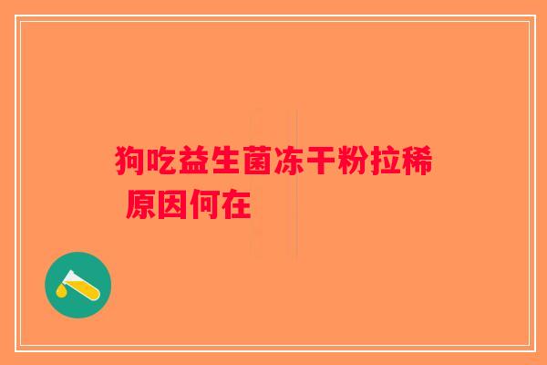 狗吃益生菌冻干粉拉稀 原因何在 狗吃益生菌冻干粉拉稀 原因何在