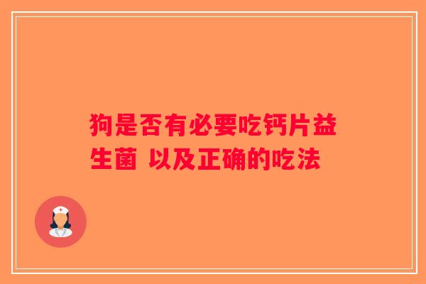 狗是否有必要吃钙片益生菌 以及正确的吃法