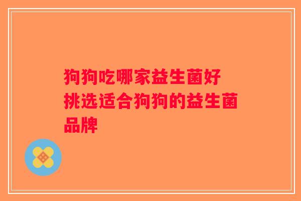狗狗吃哪家益生菌好 挑选适合狗狗的益生菌品牌