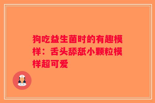 狗吃益生菌时的有趣模样：舌头舔舐小颗粒模样超可爱
