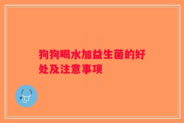 狗狗喝水加益生菌的好处及注意事项 狗狗喝水加益生菌的好处及注意事项