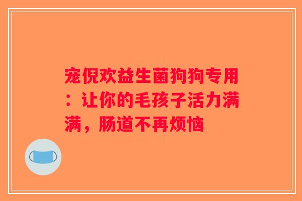 宠倪欢益生菌狗狗专用：让你的毛孩子活力满满，肠道不再烦恼