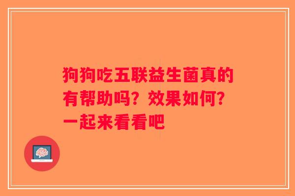狗狗吃五联益生菌真的有帮助吗？效果如何？一起来看看吧