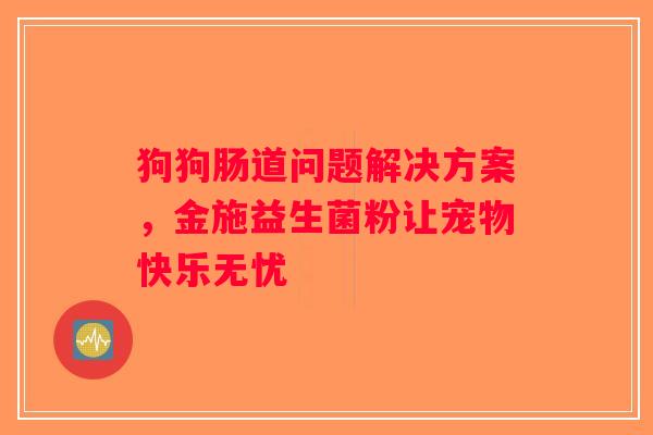 狗狗肠道问题解决方案，金施益生菌粉让宠物快乐无忧