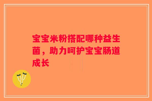 宝宝米粉搭配哪种益生菌，助力呵护宝宝肠道成长