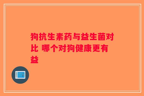 狗抗生素药与益生菌对比 哪个对狗健康更有益