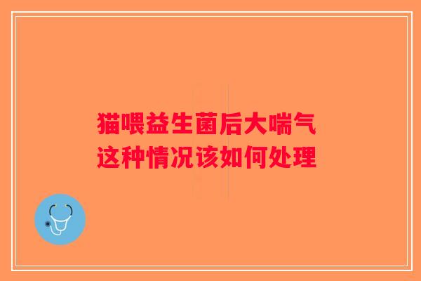 猫喂益生菌后大喘气 这种情况该如何处理