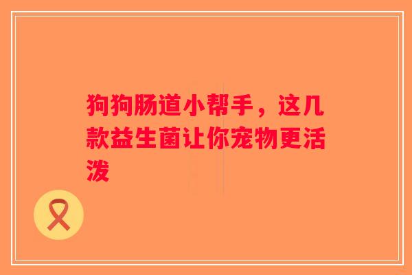 狗狗肠道小帮手，这几款益生菌让你宠物更活泼