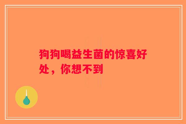 狗狗喝益生菌的惊喜好处，你想不到