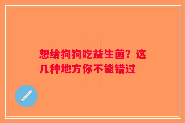 想给狗狗吃益生菌？这几种地方你不能错过