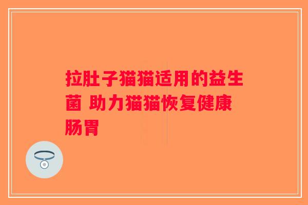 拉肚子猫猫适用的益生菌 助力猫猫恢复健康肠胃
