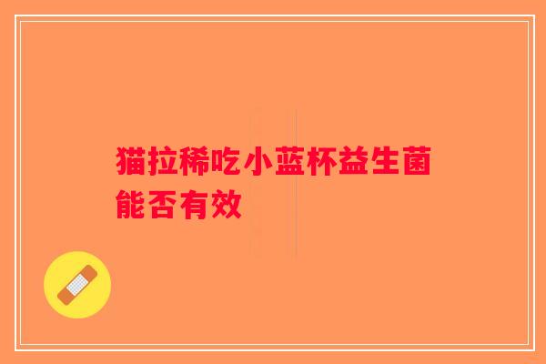 猫拉稀吃小蓝杯益生菌能否有效