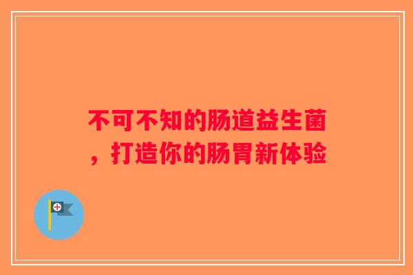 不可不知的肠道益生菌，打造你的肠胃新体验