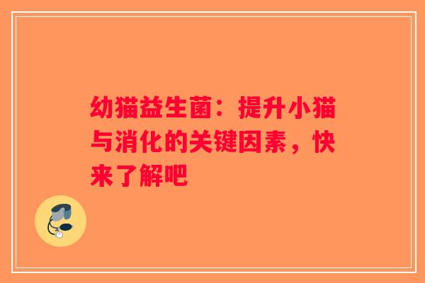 幼猫益生菌：提升小猫与消化的关键因素，快来了解吧