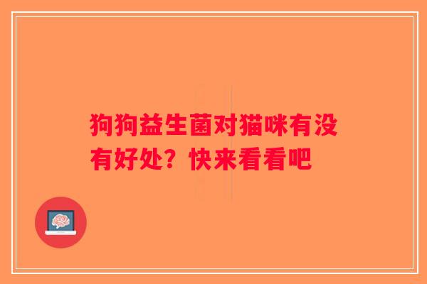 狗狗益生菌对猫咪有没有好处？快来看看吧