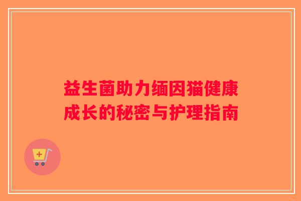 益生菌助力缅因猫健康成长的秘密与护理指南