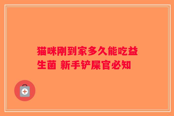 猫咪刚到家多久能吃益生菌 新手铲屎官必知