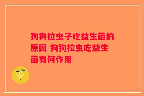 狗狗拉虫子吃益生菌的原因 狗狗拉虫吃益生菌有何作用