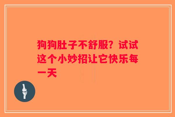 狗狗肚子不舒服？试试这个小妙招让它快乐每一天