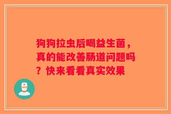 狗狗拉虫后喝益生菌，真的能改善肠道问题吗？快来看看真实效果