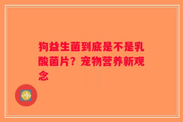 狗益生菌到底是不是乳酸菌片？宠物营养新观念