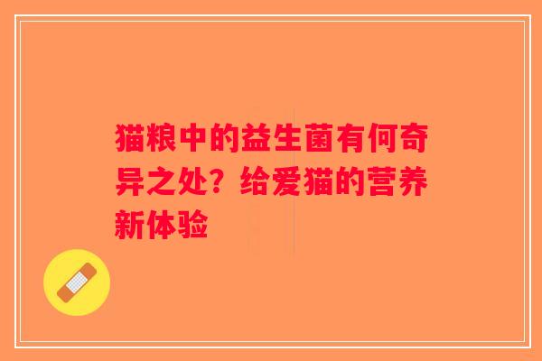 猫粮中的益生菌有何奇异之处？给爱猫的营养新体验