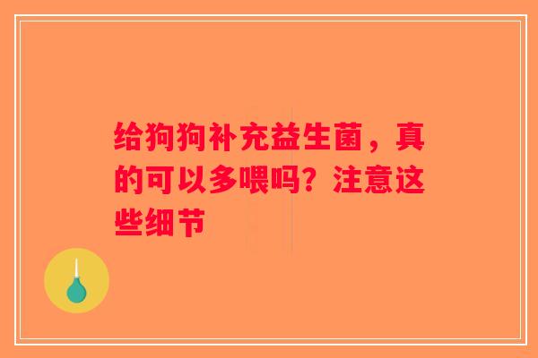 给狗狗补充益生菌,真的可以多喂吗?注意这些细节 给狗狗补充益生菌,真的可以多喂吗?注意这些细节